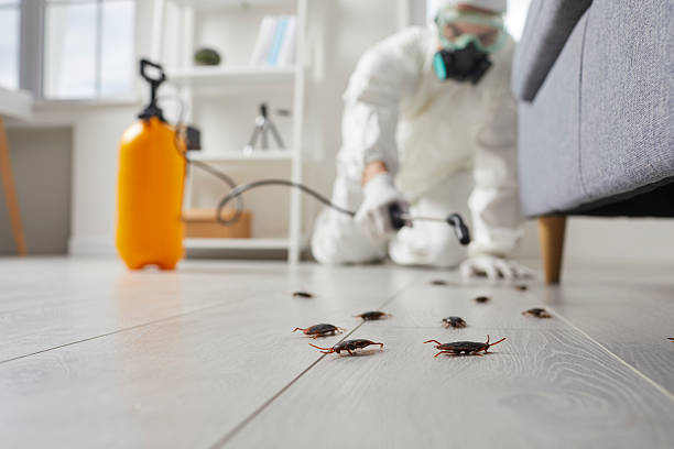 Commercial Kitchen Cockroach Control in Massanetta Springs